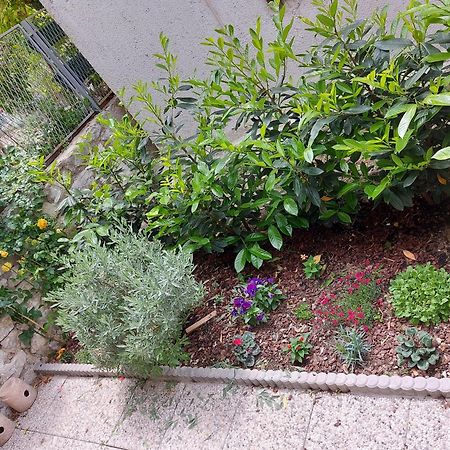 Apartments And Rooms Stone House سبليت الغرفة الصورة